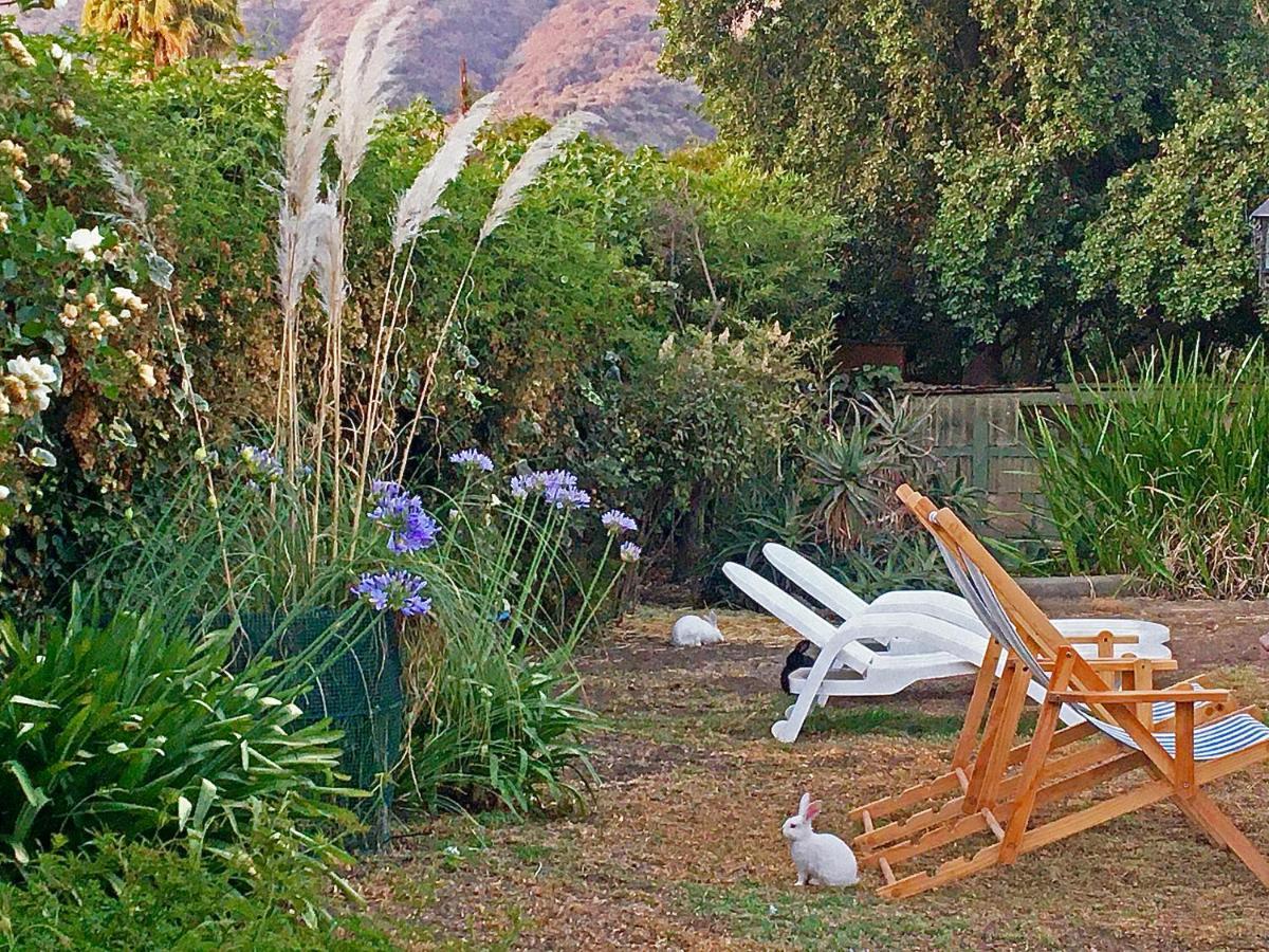 Novaqua Bed & Breakfast Olmué Kültér fotó
